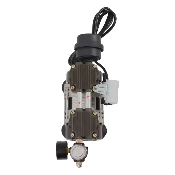 Pompe à vide sans huile pour laboratoire sans huile Pompe à vide sans huile 200 W 1450 tr/min 60 L/min Pompe à vide sans huile pour laboratoire sans huile Pompe à vide sans huile 200 W 1450 tr/min 60 L/min