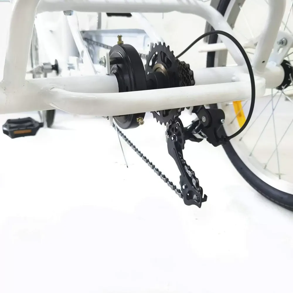 Tagtuell Tricycle Adulte 20 Pouces – Avec Panier 20kg, Phare Et Freins – Vélo 3 Roues Pour Courses Et Loisirs