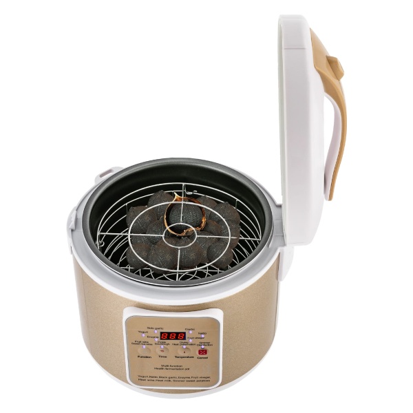 Fermenteur à Ail Noir 6L Automatique - Boîte Fermentation Intelligente Avec Support 3 Niveaux