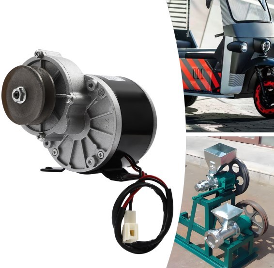 Moteur électrique avec réducteur, moteur électrique puissant avec poulie, motoréducteur, 36V